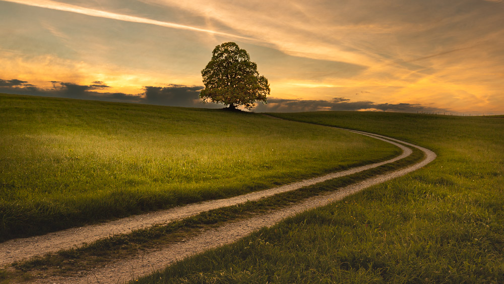 Platz 8 Anton Kienle